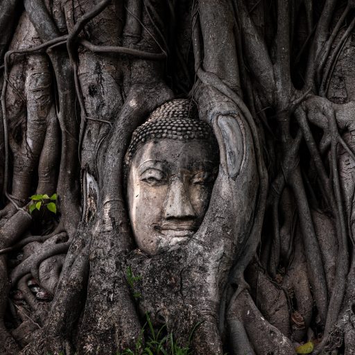 Things to do in&nbsp;Ayutthaya