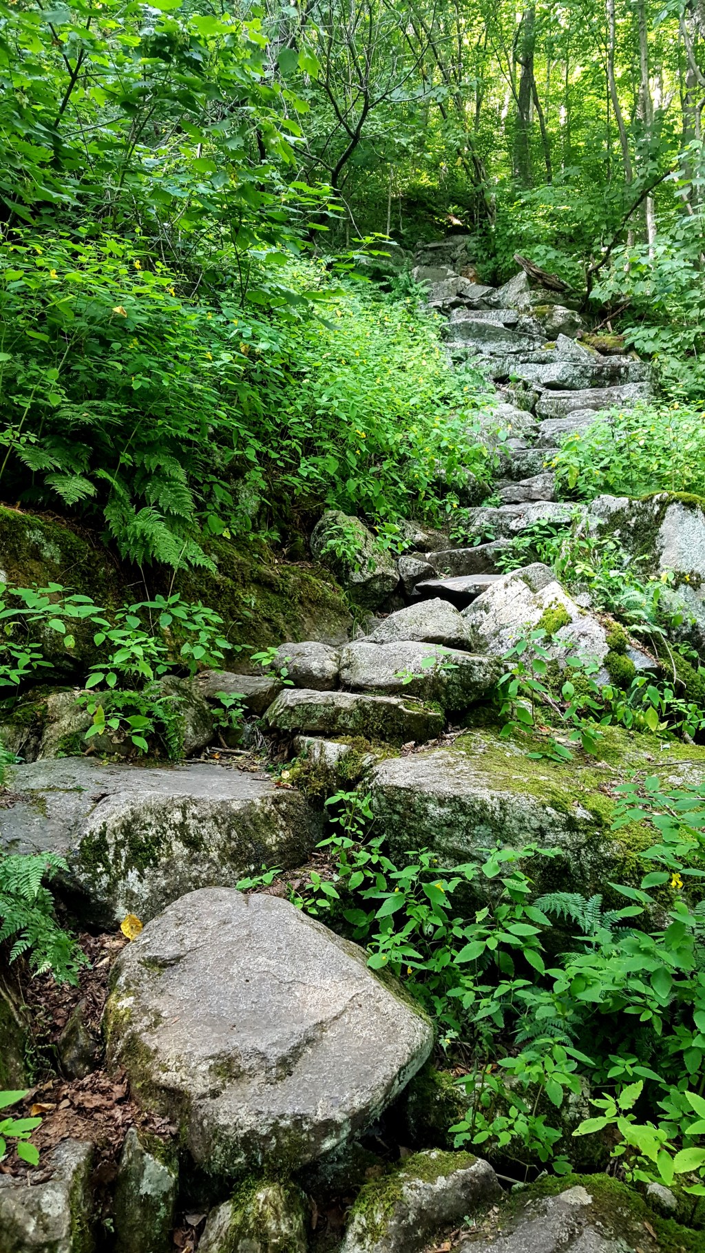 Appalachian Trail SOBO Diaries Part 3: A Final&nbsp;Goodbye