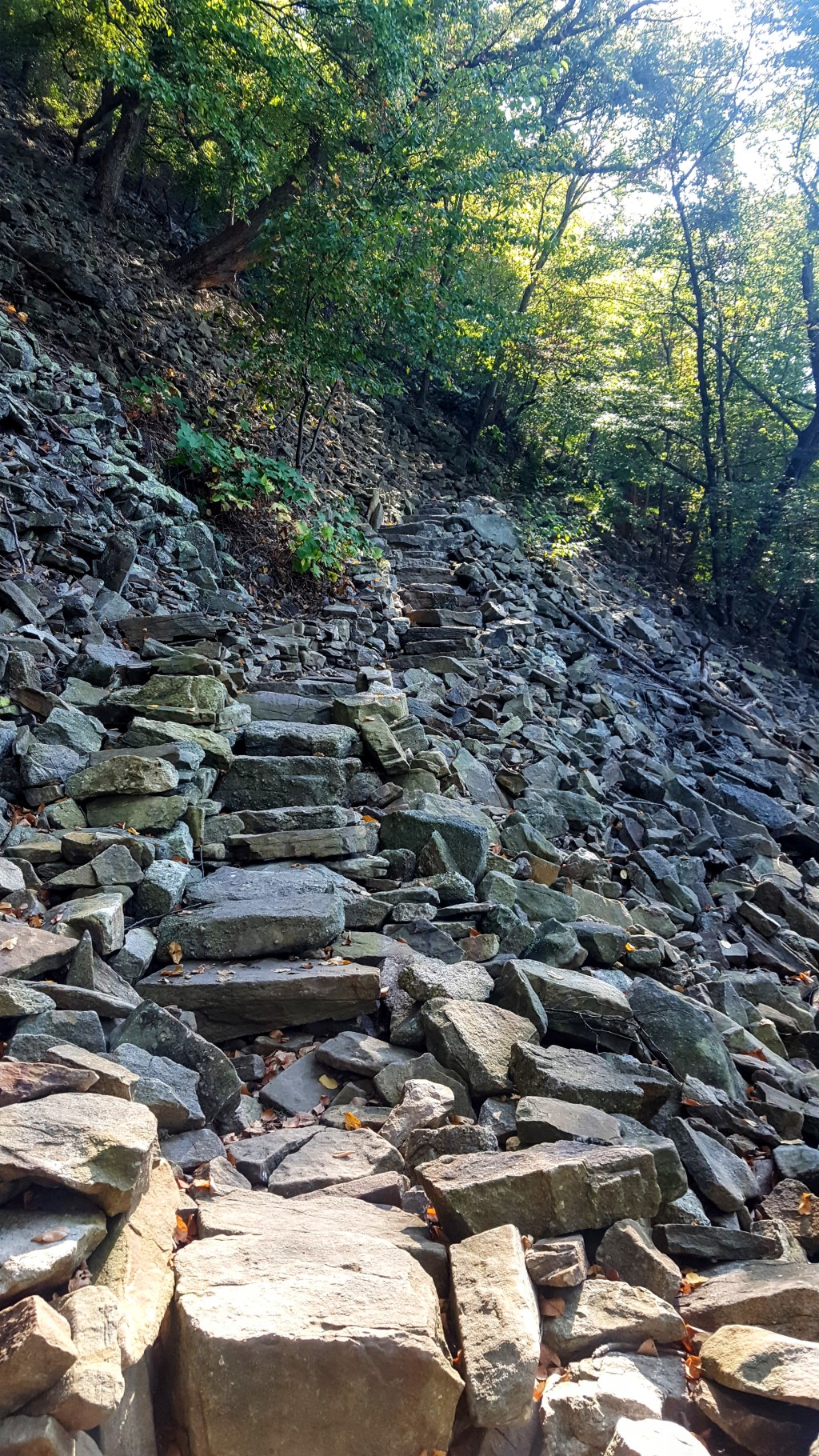 Appalachian Trail SOBO Diaries Part 6:&nbsp;Challenges