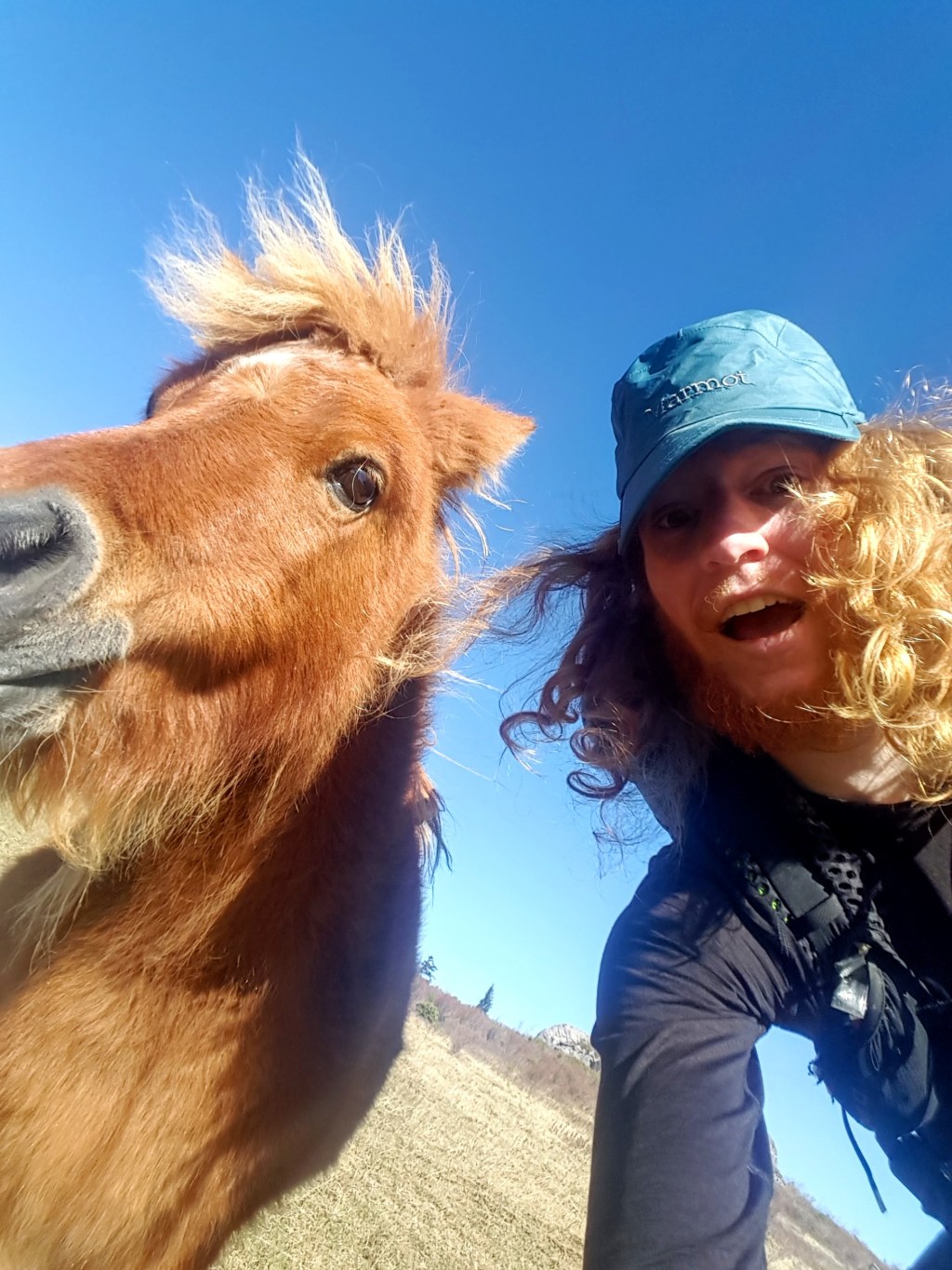 Appalachian Trail SOBO Diaries Part 9:  Ponies, Friends, and Good Days on&nbsp;Trail